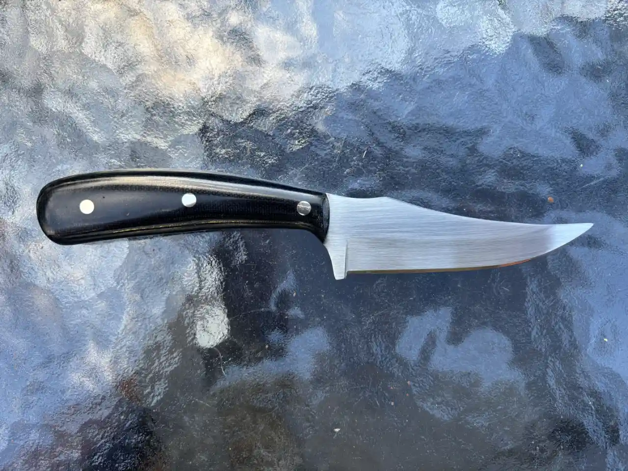 1084 carbon steel Sharpfinger with black canvas micarta handles - rear view