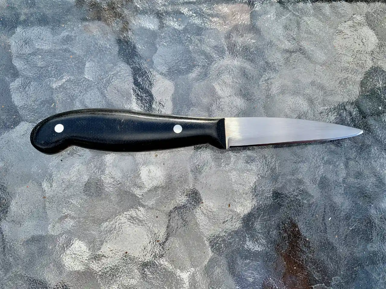 Kitchen paring knife with black micarta handles - rear view