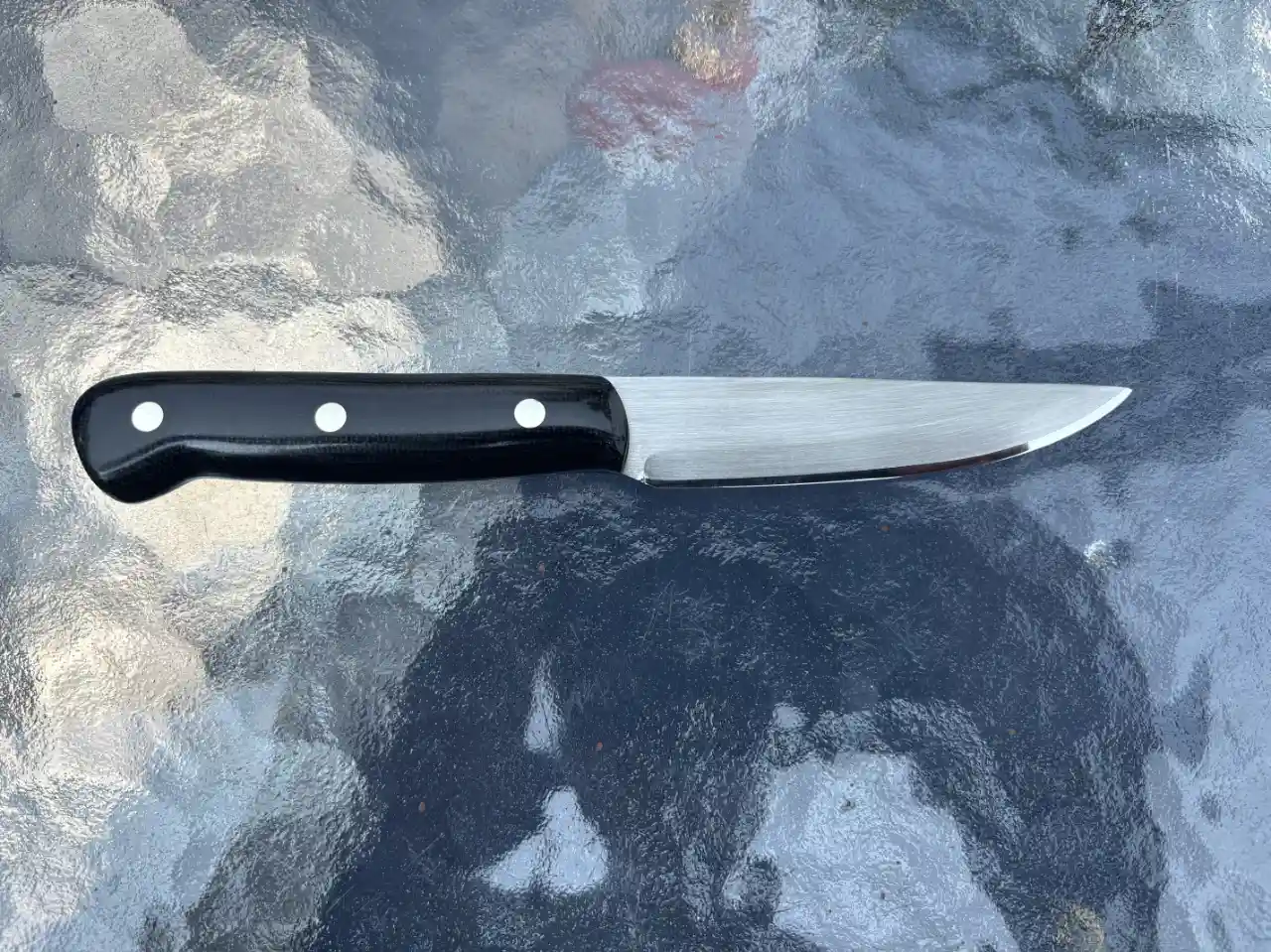 Kitchen paring knife with black micarta handles - rear view