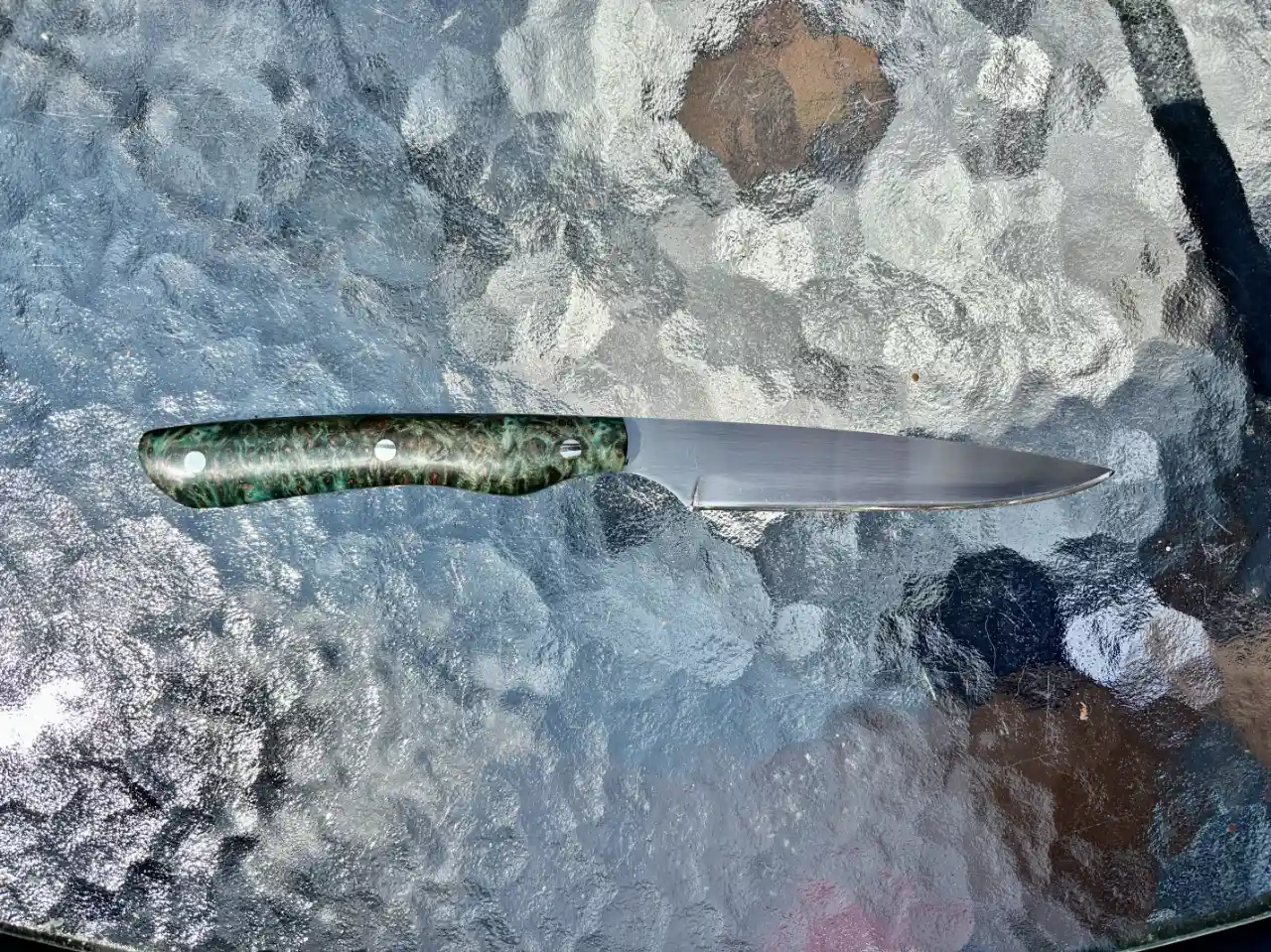 Bird and trout knife with dyed redwood burl handles - rear view