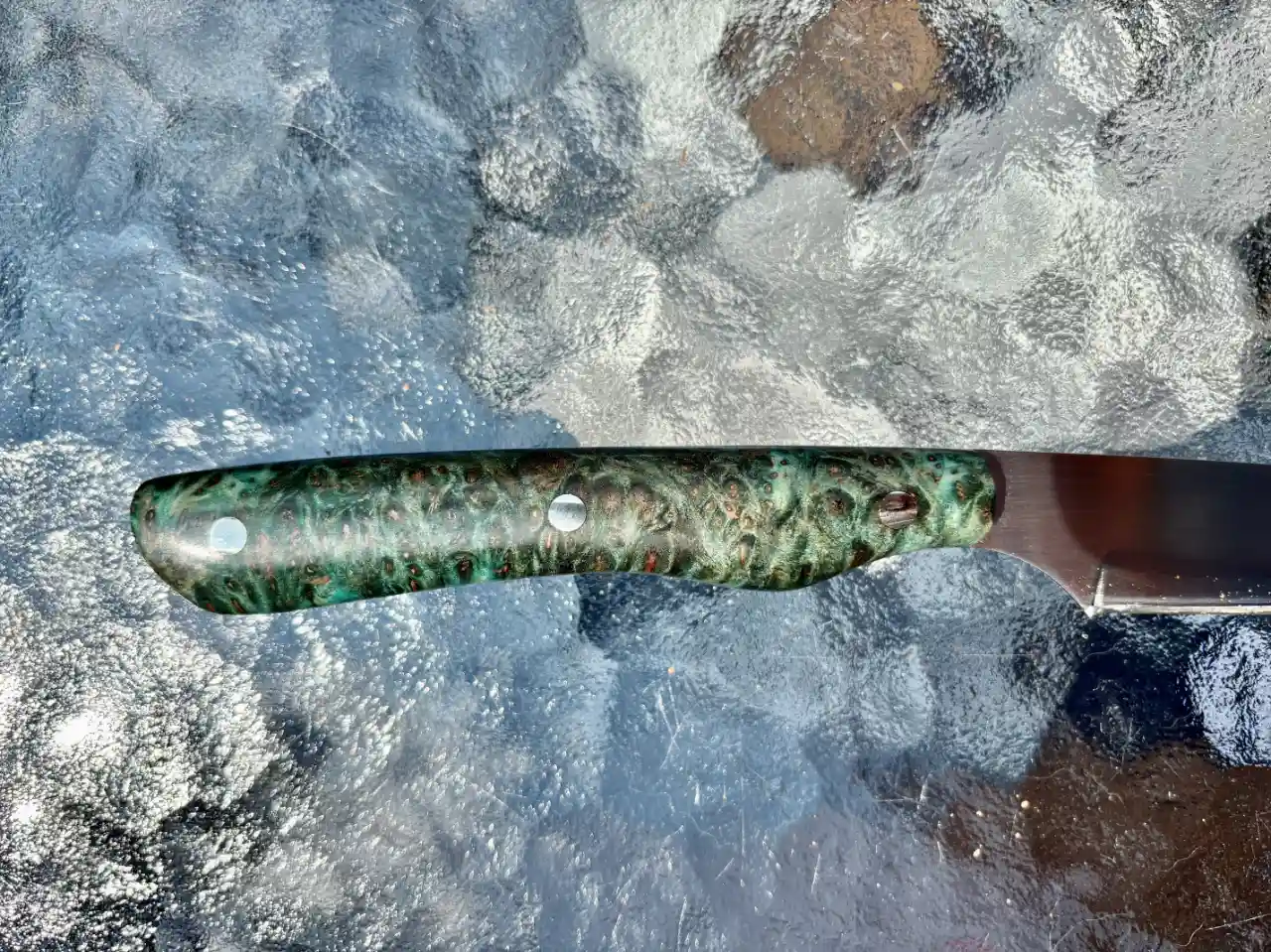 Bird and trout knife with dyed redwood burl handles - closeup of handle, rear view