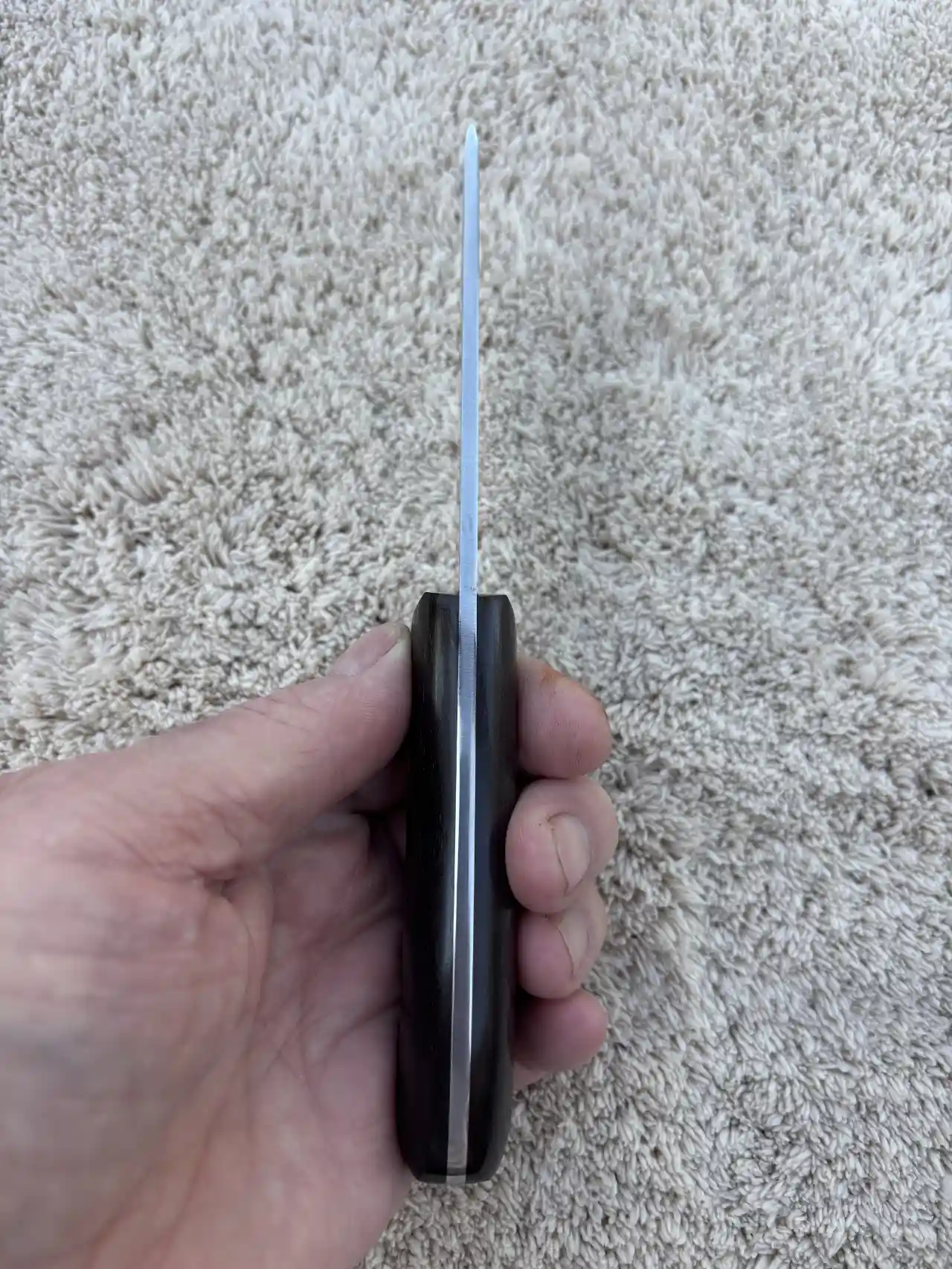 Pro hunter with natural ebony wood handles - spine view